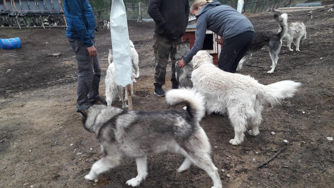 Cabin At Huskies Farm 伊纳利 外观 照片